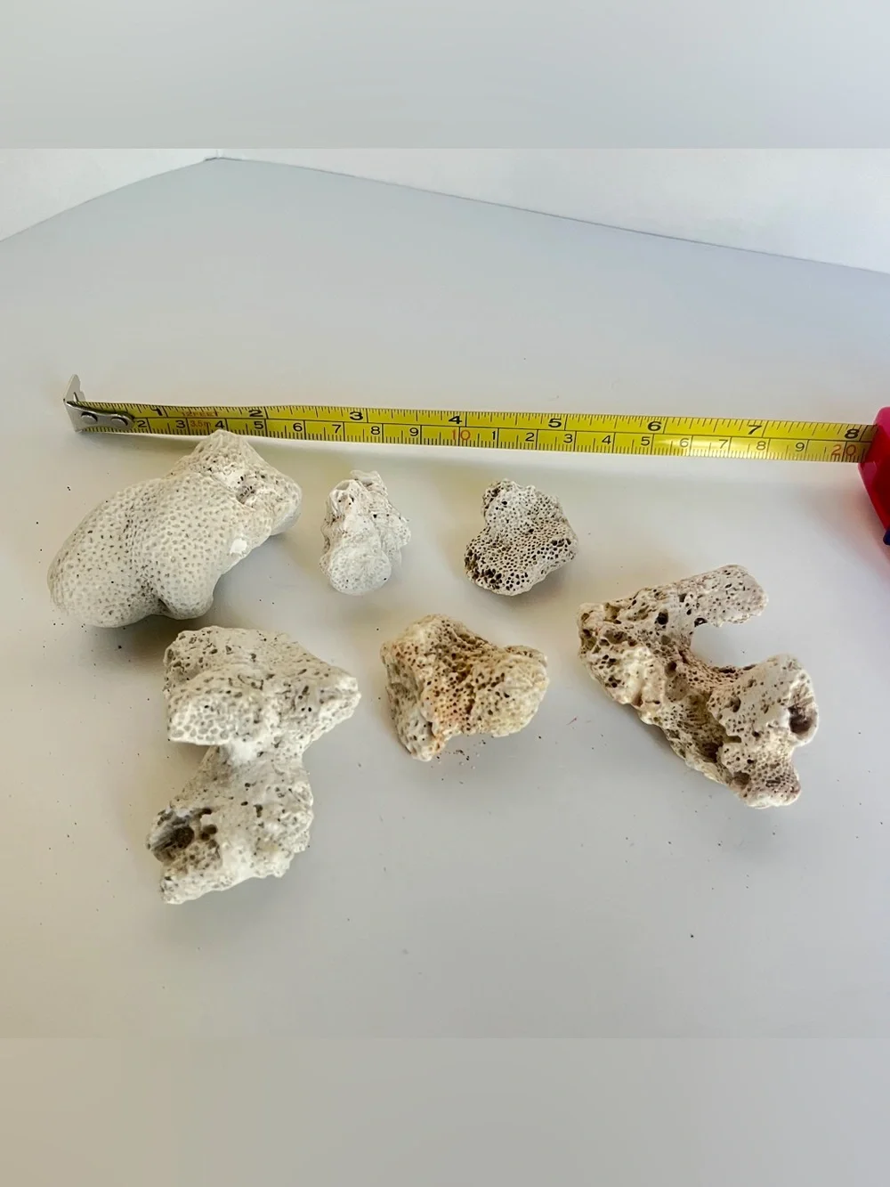 Natural White Coral Rock Décor for Habitats - lot of 6 Pieces